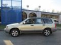 Sierra Gold Metallic - Forester 2.5 XS Photo No. 2