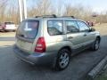Sierra Gold Metallic - Forester 2.5 XS Photo No. 7