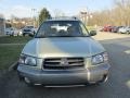 Sierra Gold Metallic - Forester 2.5 XS Photo No. 10