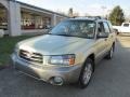 Sierra Gold Metallic - Forester 2.5 XS Photo No. 11