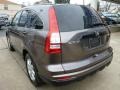 Urban Titanium Metallic - CR-V SE 4WD Photo No. 10