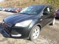 2014 Tuxedo Black Ford Escape SE 1.6L EcoBoost  photo #5