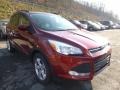 2014 Sunset Ford Escape SE 1.6L EcoBoost  photo #1