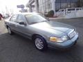 2006 Light Tundra Metallic Ford Crown Victoria LX #88443249