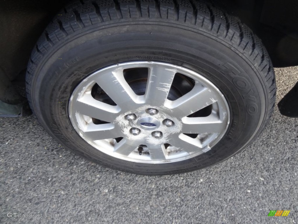 2006 Crown Victoria LX - Light Tundra Metallic / Medium Light Stone photo #15