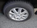 2006 Light Tundra Metallic Ford Crown Victoria LX  photo #15