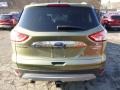 2014 Ginger Ale Ford Escape Titanium 2.0L EcoBoost 4WD  photo #2