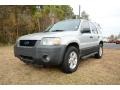 2006 Silver Metallic Ford Escape XLT V6  photo #1