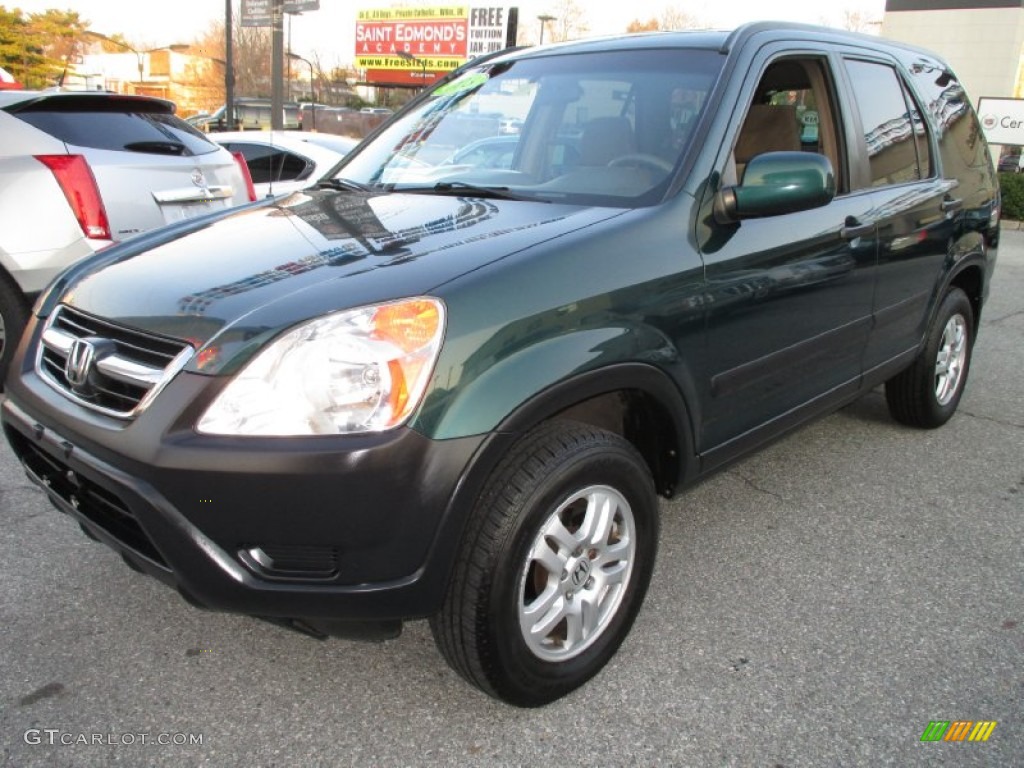 2003 CR-V EX 4WD - Clover Green Pearl / Saddle photo #2
