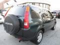 Clover Green Pearl - CR-V EX 4WD Photo No. 6