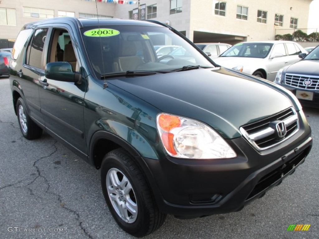 2003 CR-V EX 4WD - Clover Green Pearl / Saddle photo #8