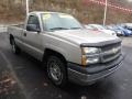 2004 Silver Birch Metallic Chevrolet Silverado 1500 Regular Cab 4x4  photo #6