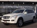 Arctic White - GL 450 4Matic Photo No. 1