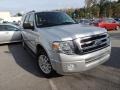 2013 Ingot Silver Ford Expedition XLT  photo #1