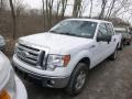 Oxford White - F150 XLT SuperCrew 4x4 Photo No. 3