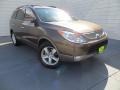 2011 Sahara Bronze Metallic Hyundai Veracruz Limited  photo #2