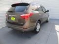 2011 Sahara Bronze Metallic Hyundai Veracruz Limited  photo #4