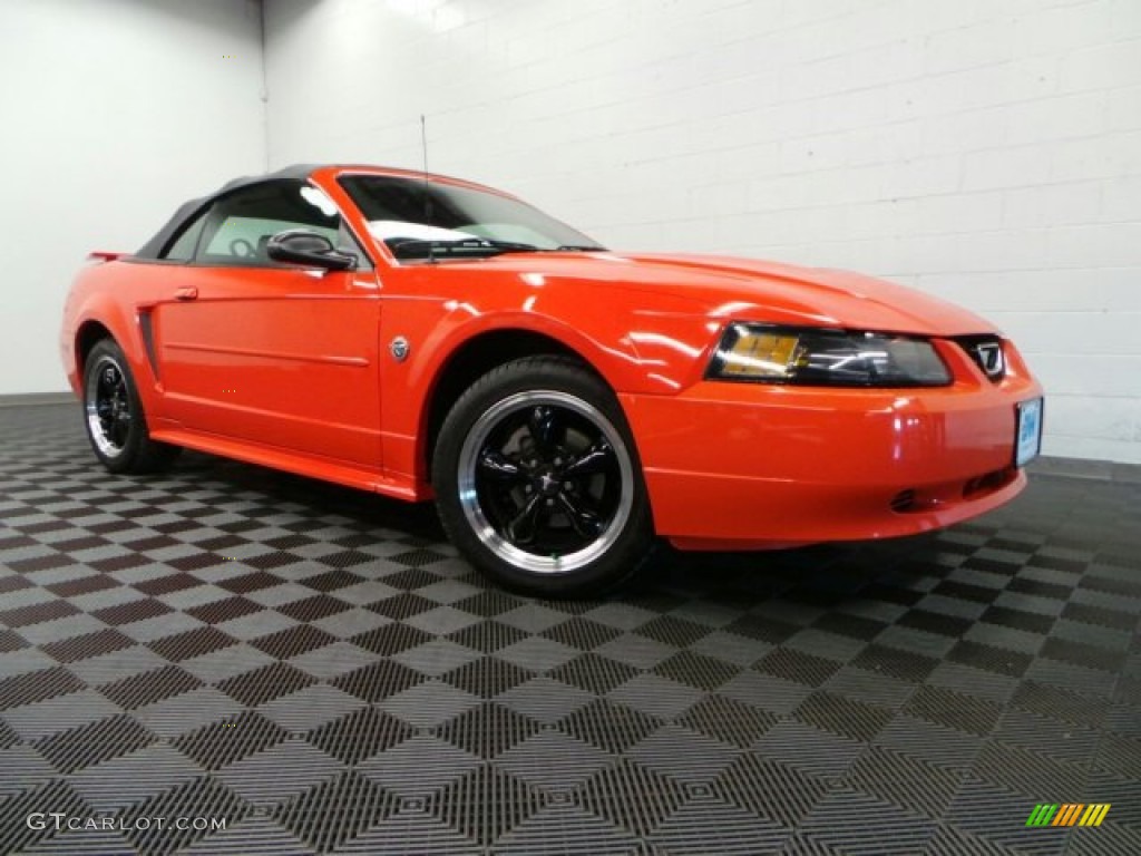 2004 Mustang V6 Convertible - Competition Orange / Dark Charcoal photo #1