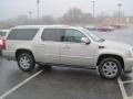 Quicksilver - Escalade ESV AWD Photo No. 3