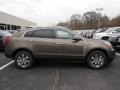 Terra Mocha Metallic - SRX Luxury Photo No. 4