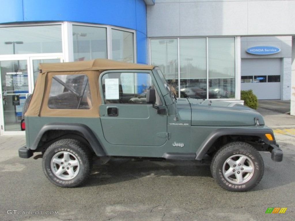2000 Wrangler SE 4x4 - Medium Fern Green Pearl / Camel photo #2