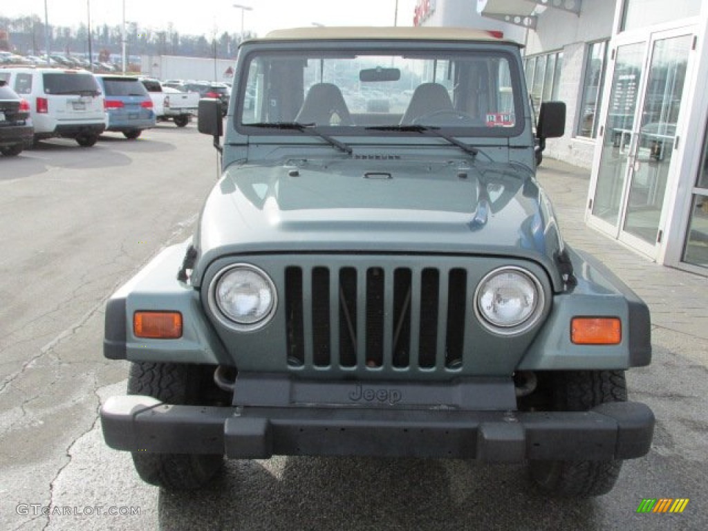 2000 Wrangler SE 4x4 - Medium Fern Green Pearl / Camel photo #3