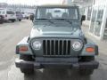 2000 Medium Fern Green Pearl Jeep Wrangler SE 4x4  photo #3