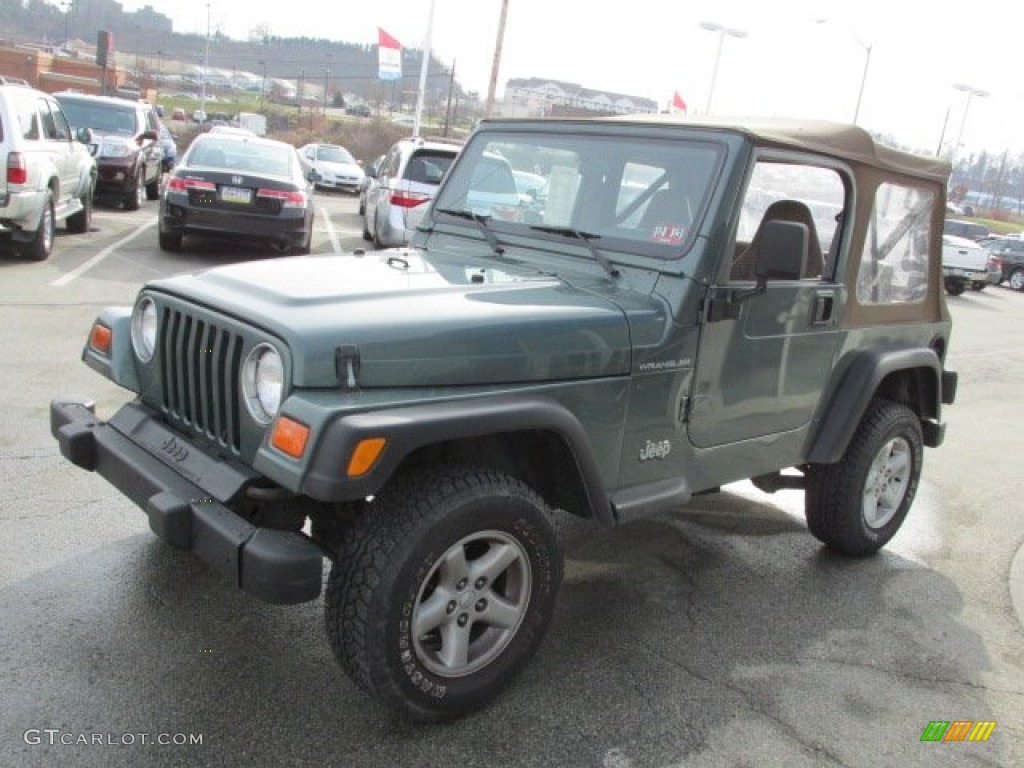 2000 Wrangler SE 4x4 - Medium Fern Green Pearl / Camel photo #4