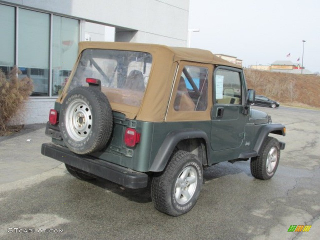2000 Wrangler SE 4x4 - Medium Fern Green Pearl / Camel photo #8