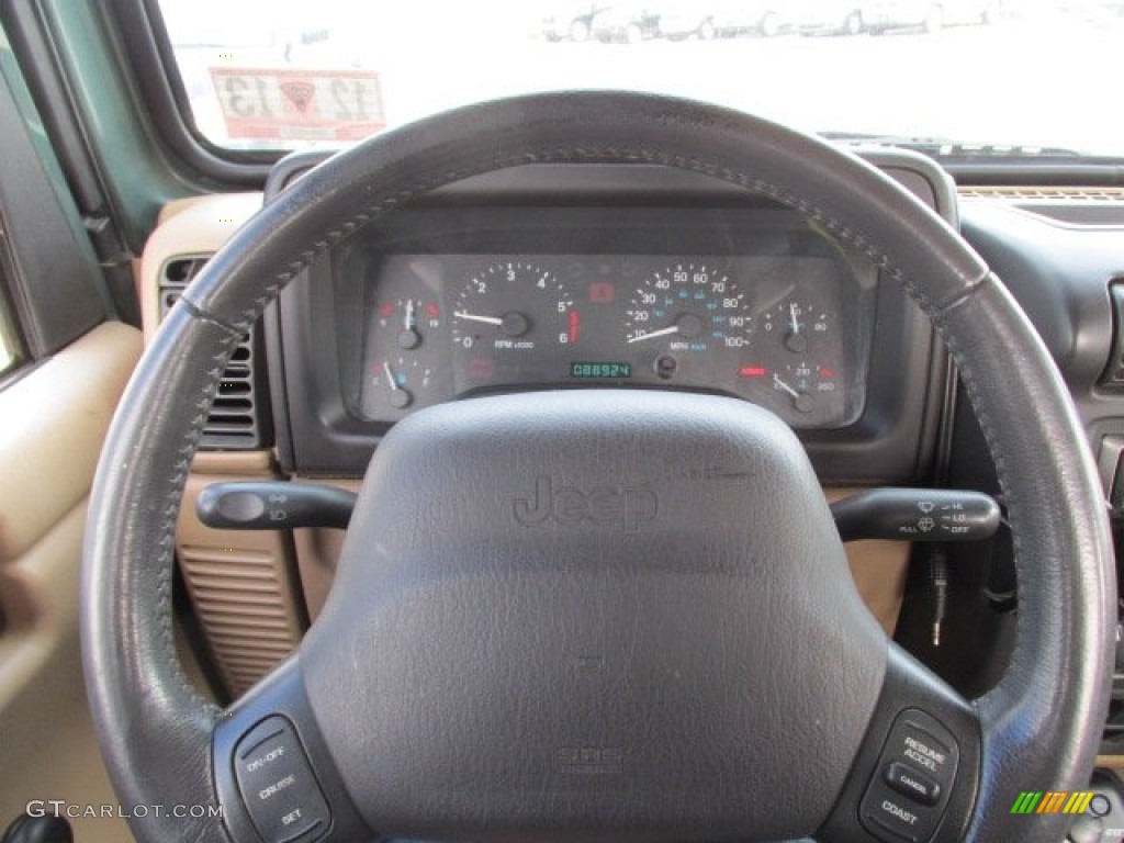 2000 Wrangler SE 4x4 - Medium Fern Green Pearl / Camel photo #16