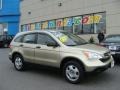 2007 Borrego Beige Metallic Honda CR-V LX 4WD  photo #1