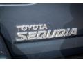 2006 Bluesteel Mica Toyota Sequoia Limited  photo #28