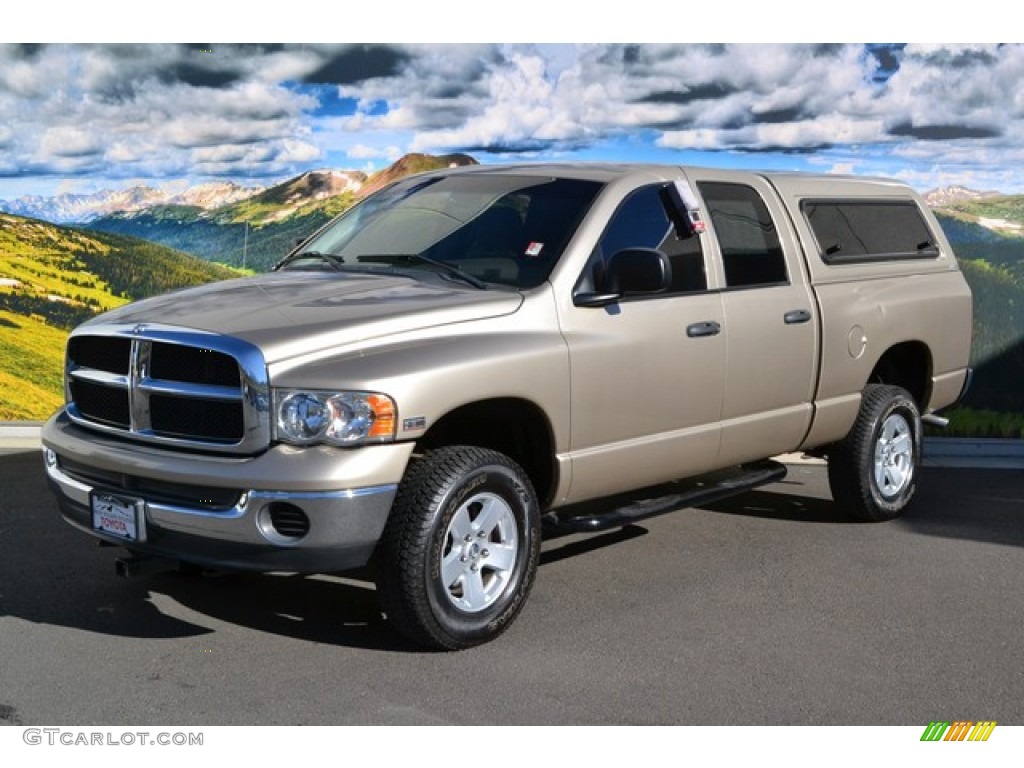 2005 Ram 1500 ST Quad Cab 4x4 - Light Almond Pearl / Taupe photo #5