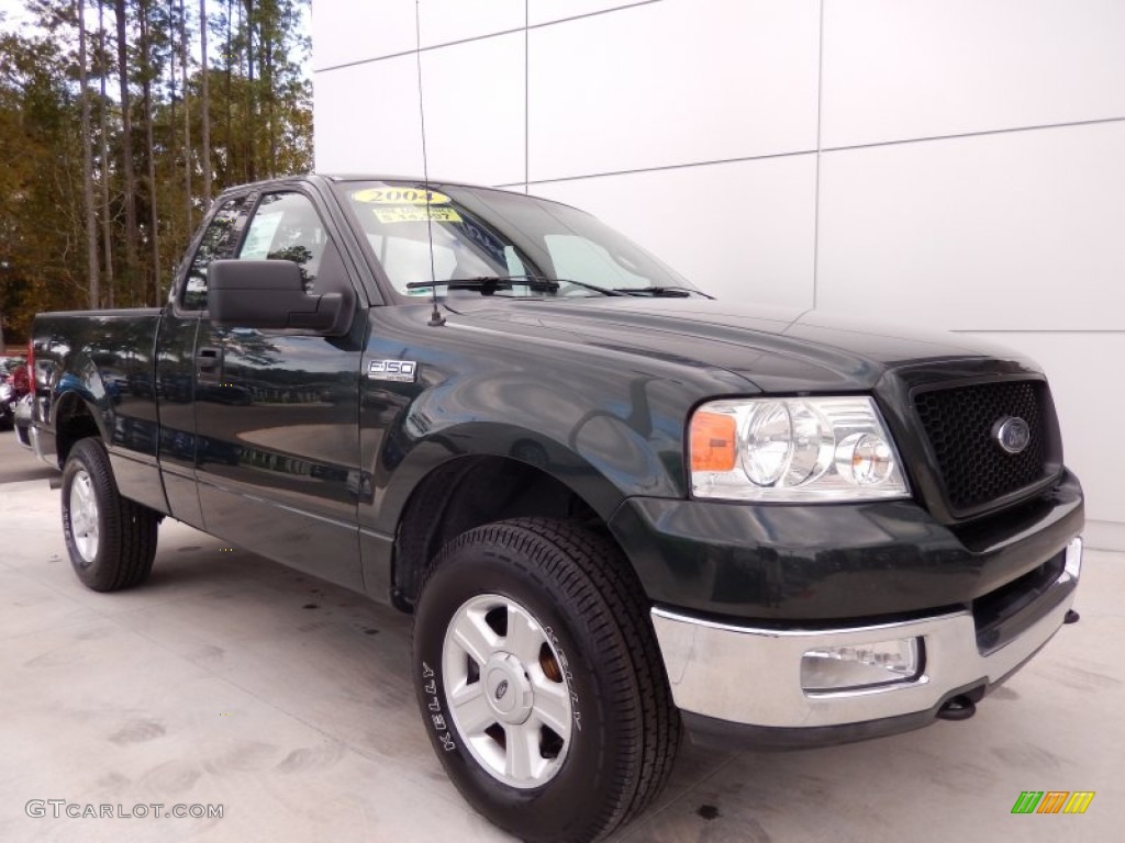 2004 F150 XLT Regular Cab 4x4 - Aspen Green Metallic / Dark Flint photo #7