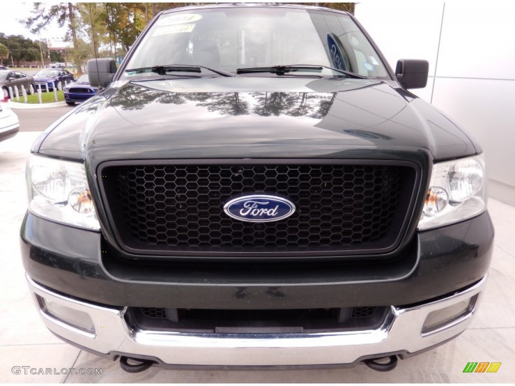 2004 F150 XLT Regular Cab 4x4 - Aspen Green Metallic / Dark Flint photo #8