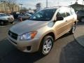 2010 Sandy Beach Metallic Toyota RAV4 I4 4WD  photo #3