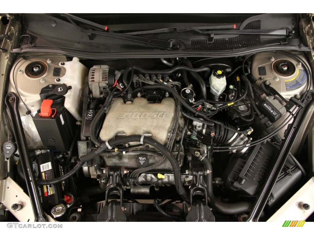 2002 Century Custom - Light Sandrift Metallic / Taupe photo #14