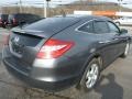 Polished Metal Metallic - Accord Crosstour EX-L 4WD Photo No. 5