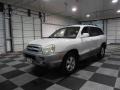 Nordic White - Santa Fe GLS Photo No. 3