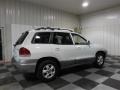 Nordic White - Santa Fe GLS Photo No. 7