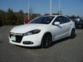 Bright White - Dart Rallye Photo No. 10