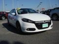 Bright White - Dart Rallye Photo No. 17