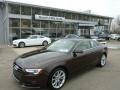 Teak Brown Metallic - A5 2.0T quattro Coupe Photo No. 1
