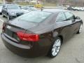 Teak Brown Metallic - A5 2.0T quattro Coupe Photo No. 5
