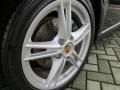 2009 Porsche Boxster Standard Boxster Model Wheel and Tire Photo