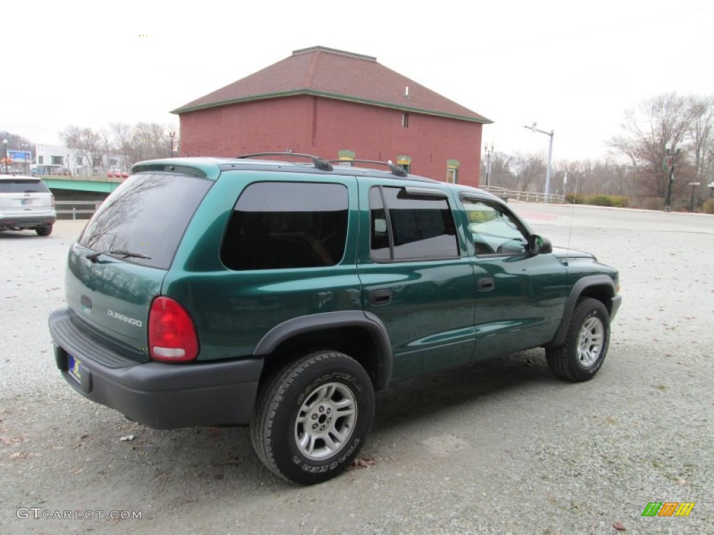 2003 Durango SXT 4x4 - Timberline Green Pearlcoat / Dark Slate Gray photo #5
