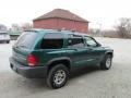 2003 Timberline Green Pearlcoat Dodge Durango SXT 4x4  photo #5