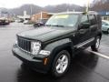 2010 Natural Green Pearl Jeep Liberty Limited 4x4  photo #4