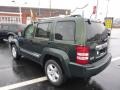 2010 Natural Green Pearl Jeep Liberty Limited 4x4  photo #6