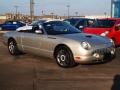 Platinum Silver Metallic - Thunderbird Deluxe Roadster Photo No. 3